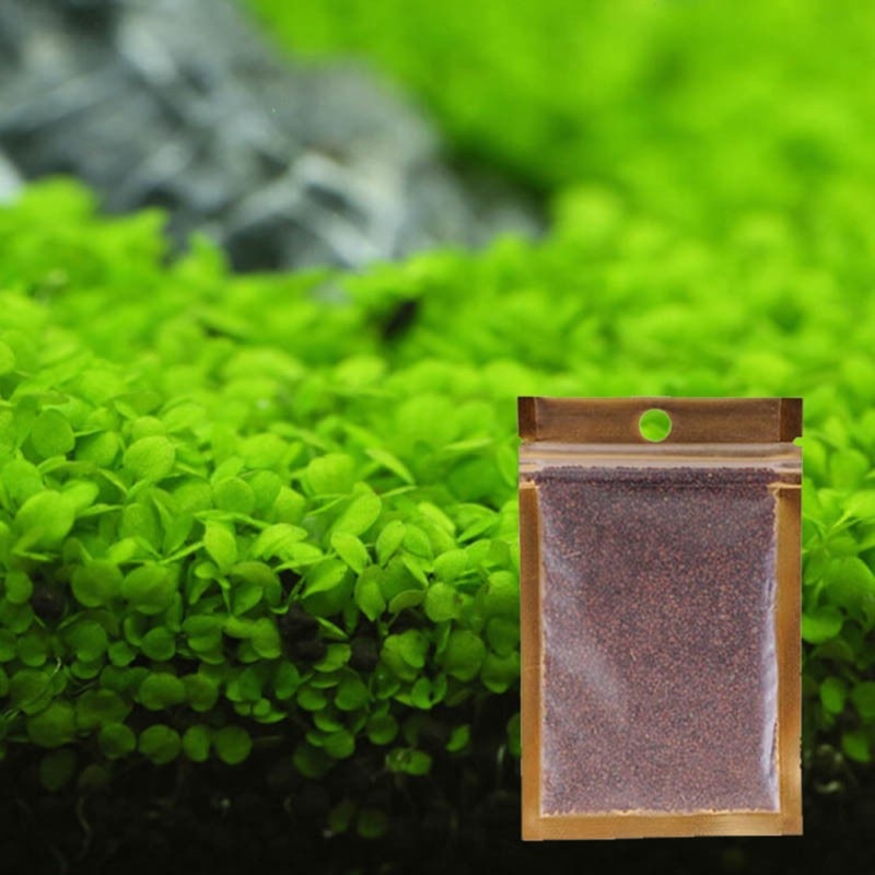 aquascape plant seeds Beautiful Aquarium Grass Seeds Water Aquatic Green Plants Fish Tank De –  Martit Store